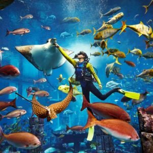 BUCEO EN LOS ACUARIOS ATLANTIS Y LOST CHAMBERS